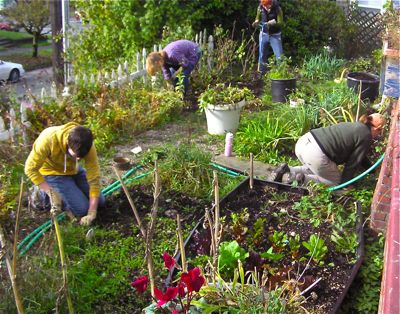 Picture of people working community garden